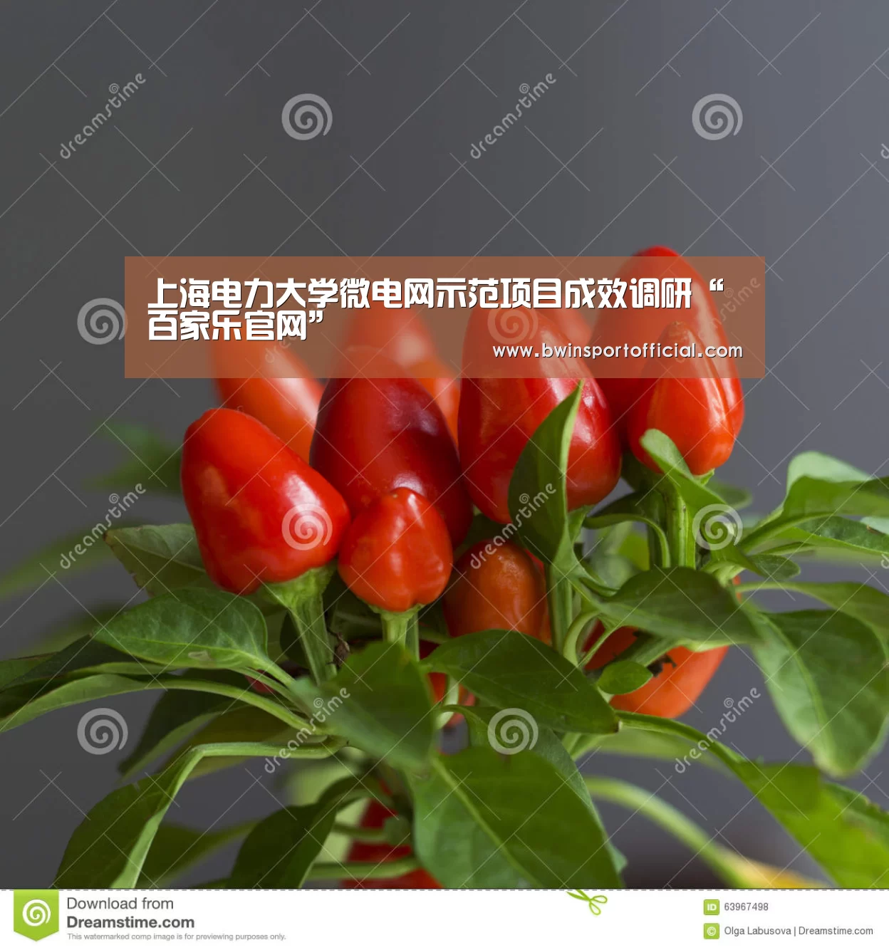 百家乐官网