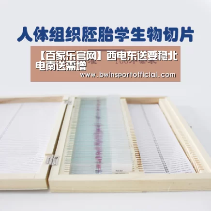 百家乐官网直播